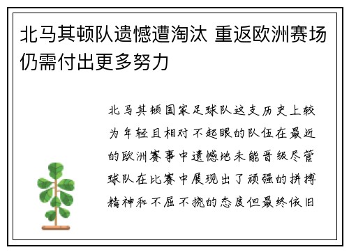 北马其顿队遗憾遭淘汰 重返欧洲赛场仍需付出更多努力